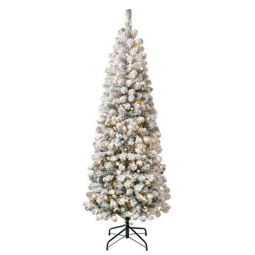 6ft prelit flocked acacia - prelit,